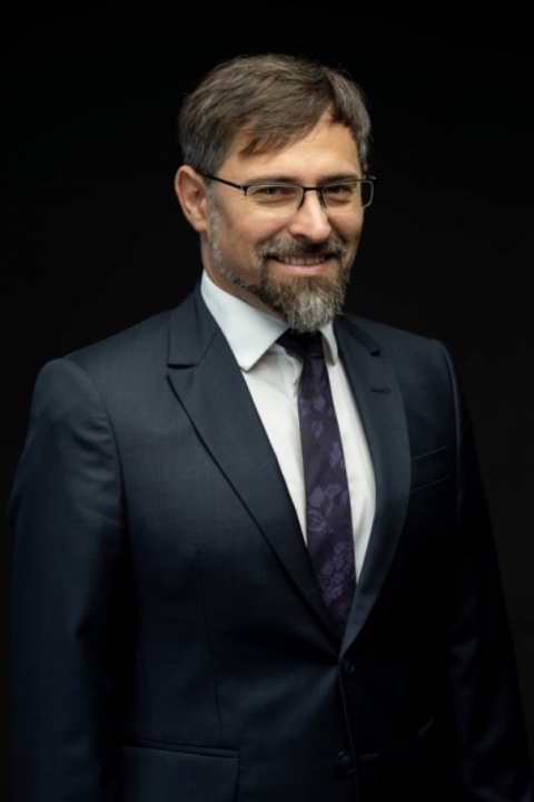 Limitarea onorariilor în procedura de insolvență: mecanism de accelerare a procedurii sau intervenție neconstituțională în drepturile practicienilor?
