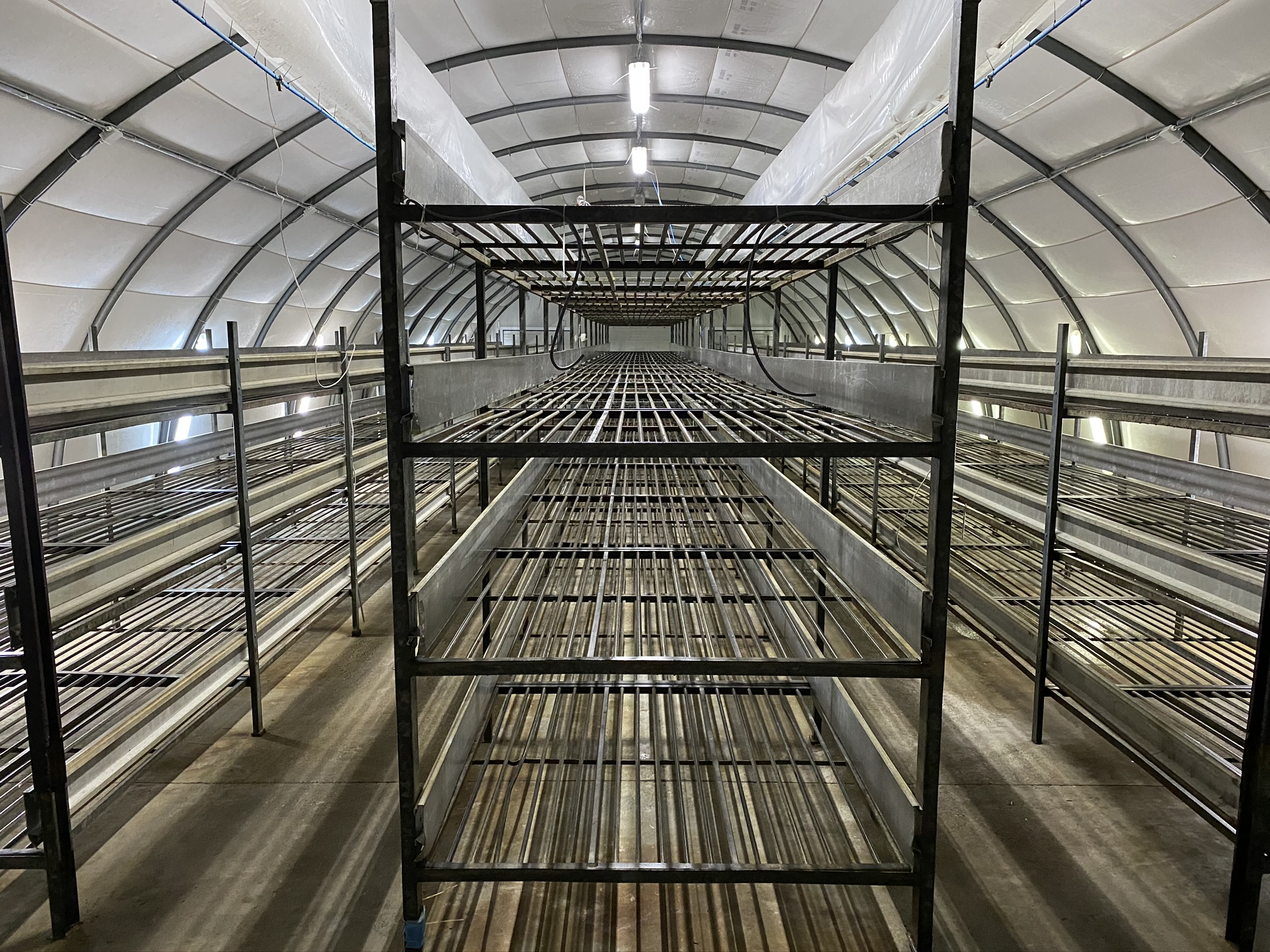 1.-Tunel.png