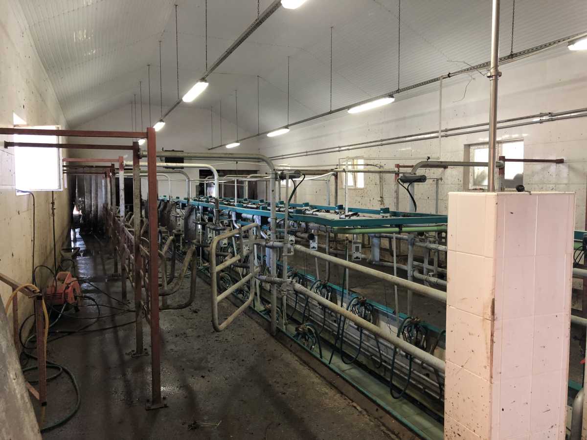 20---SALA-DE-MULS-SI-SALA-DE-ASTEPTARE.....jpg
