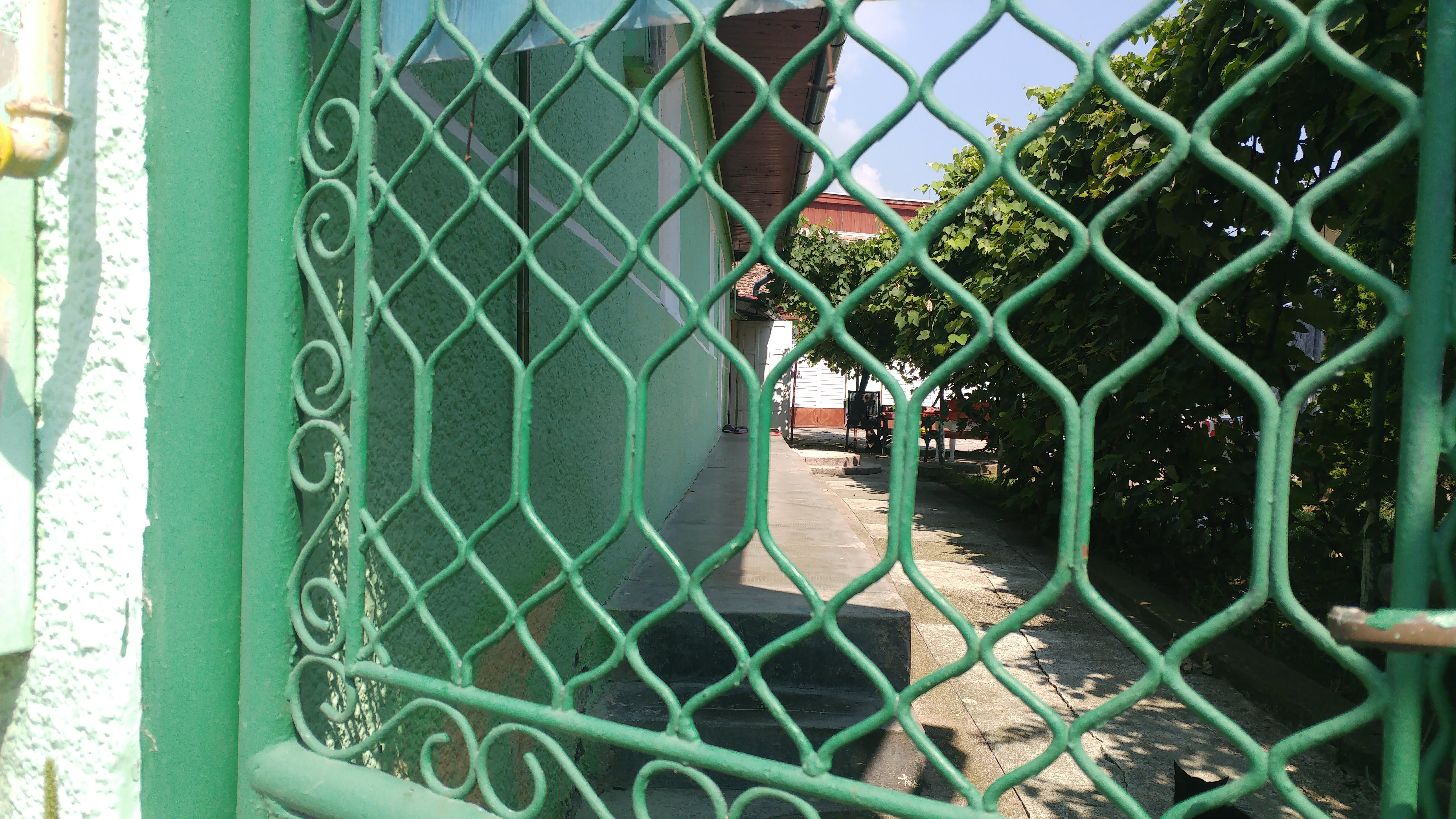 20180807_120547.jpg