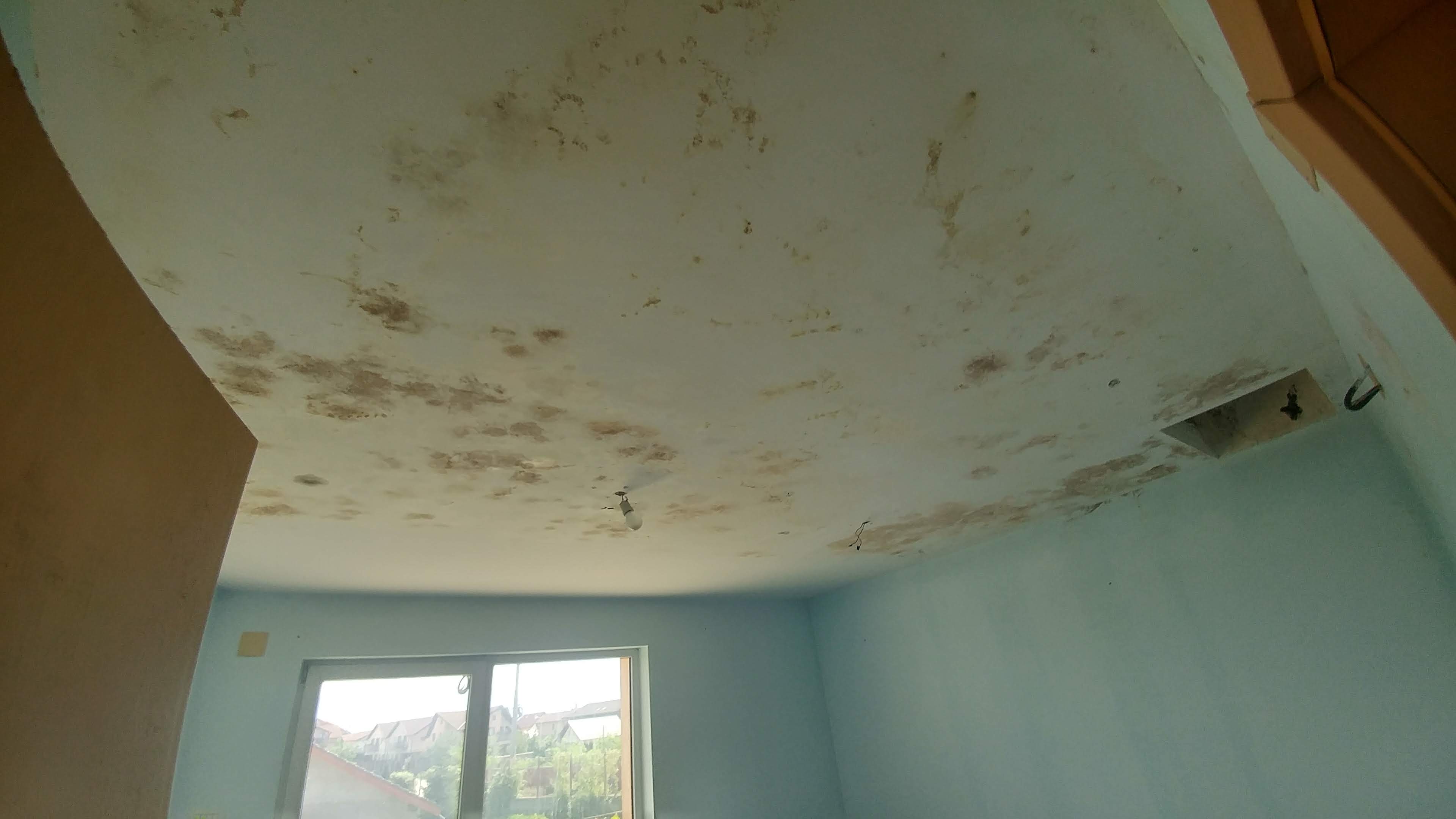 20180809_142748_HDR.jpg