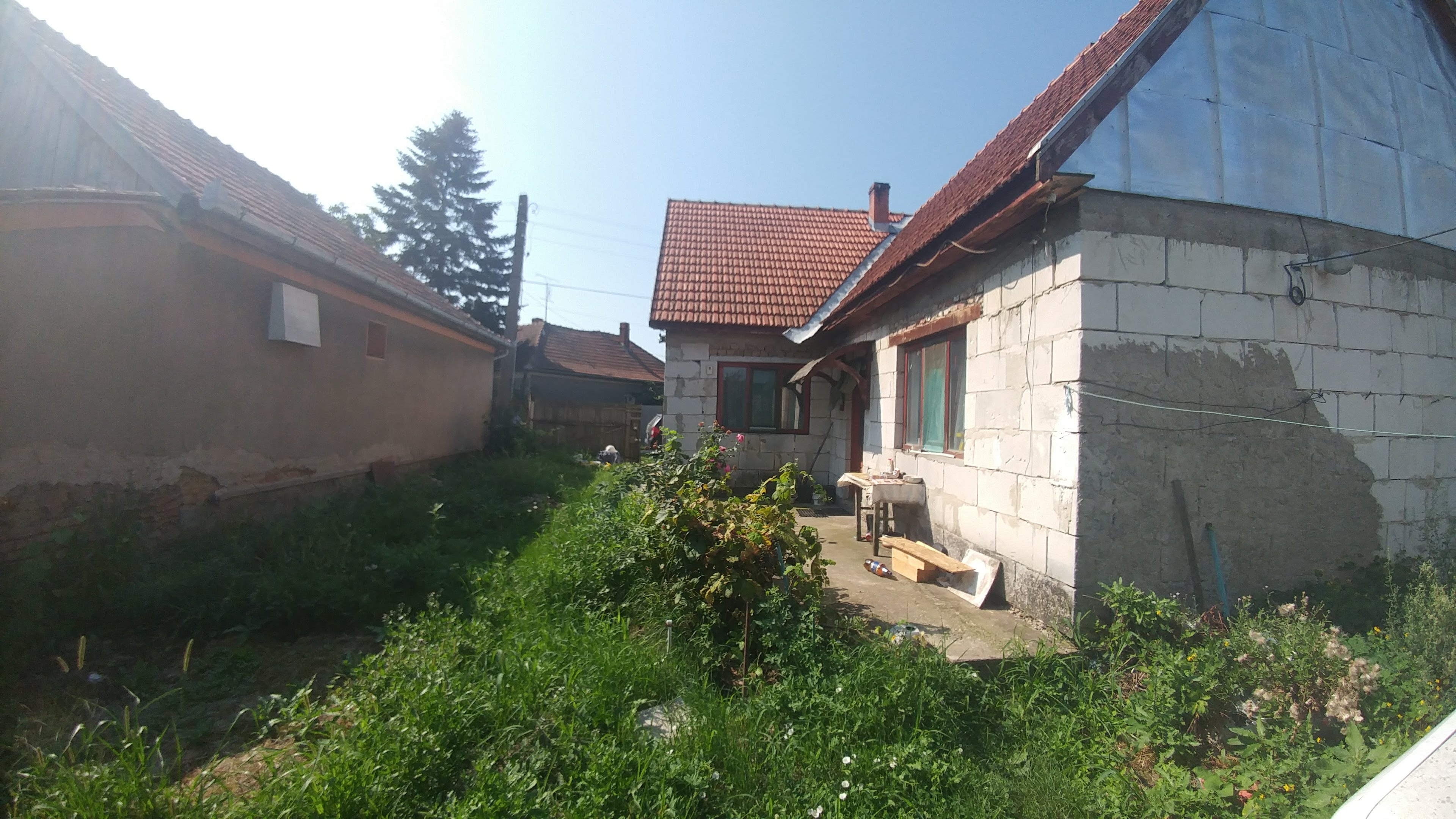 20180810_110010.jpg