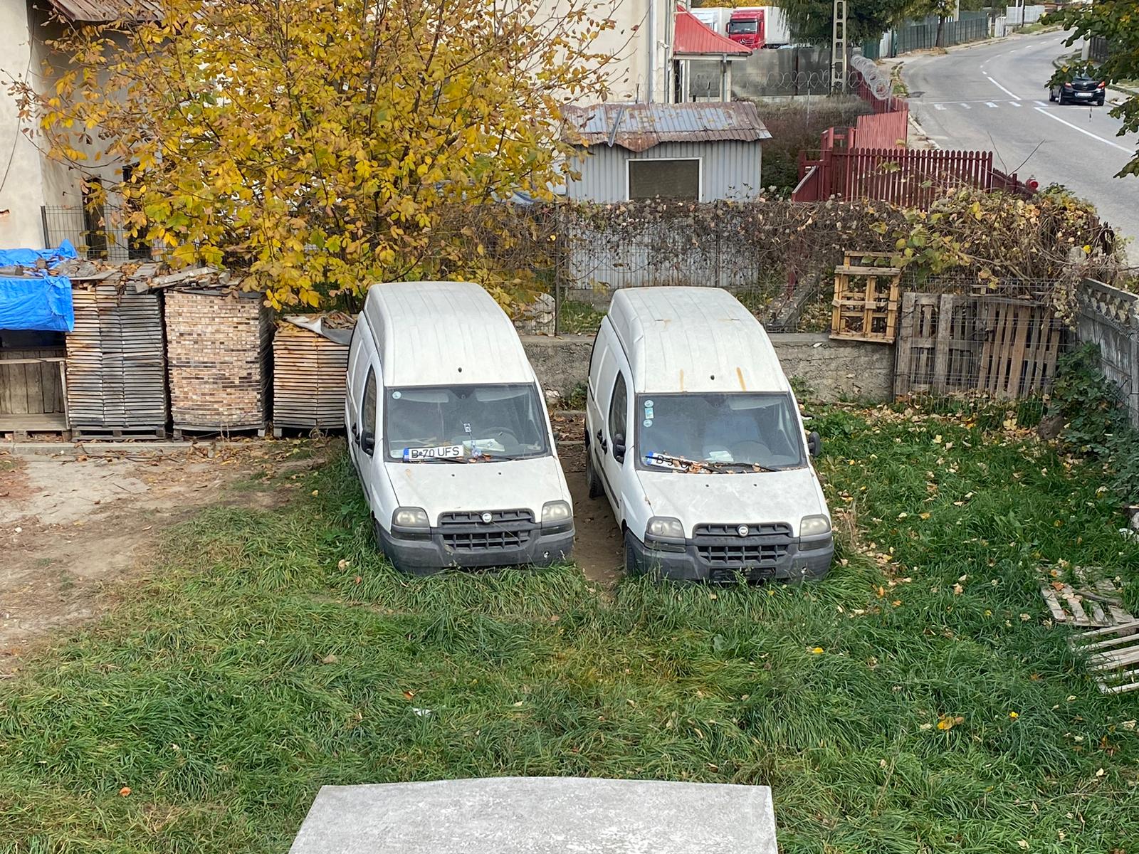 20240305145018_564_auto-.jpg