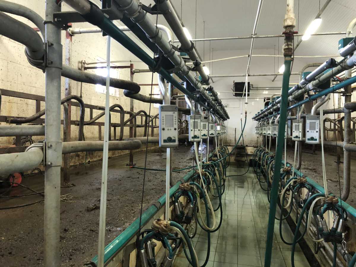 20240829144157_120_3---INSTALATIE-SALA-DE-MULS---Sala-muls-EuroClass1200.......jpg