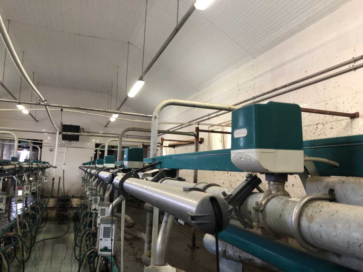 3---INSTALATIE-SALA-DE-MULS---Sala-muls-EuroClass1200...........jpg