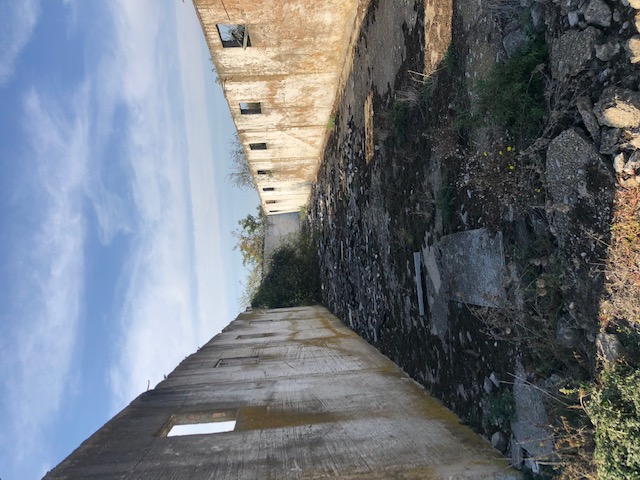 IMG_3655.jpeg