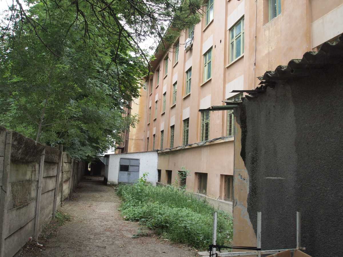 P6172594-1-.jpg